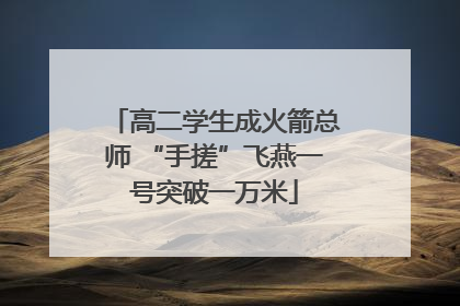 高二学生成火箭总师 “手搓”飞燕一号突破一万米