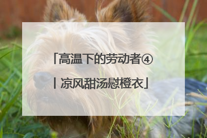 高温下的劳动者④丨凉风甜汤慰橙衣
