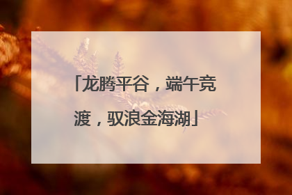 龙腾平谷，端午竞渡，驭浪金海湖