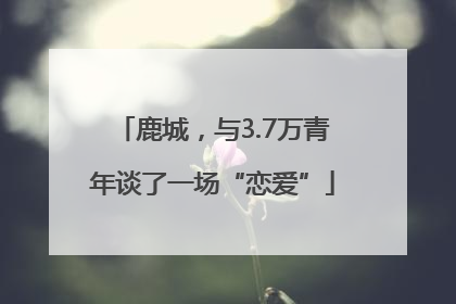 鹿城，与3.7万青年谈了一场“恋爱”