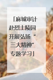 麻城审计赴烈士陵园开展弘扬“三大精神”专题学习