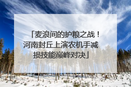 麦浪间的护粮之战！河南封丘上演农机手减损技能巅峰对决