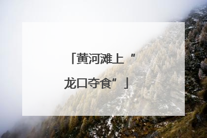 黄河滩上“龙口夺食”
