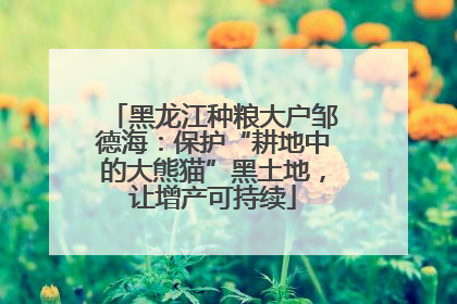 黑龙江种粮大户邹德海：保护“耕地中的大熊猫”黑土地，让增产可持续