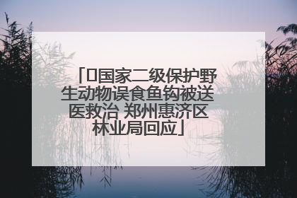 ﻿国家二级保护野生动物误食鱼钩被送医救治 郑州惠济区林业局回应