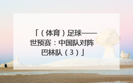 （体育）足球——世预赛：中国队对阵巴林队（3）
