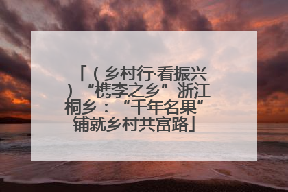 （乡村行·看振兴）“槜李之乡”浙江桐乡：“千年名果”铺就乡村共富路