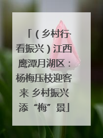（乡村行·看振兴）江西鹰潭月湖区：杨梅压枝迎客来 乡村振兴添“梅”景