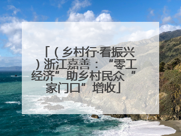 （乡村行·看振兴）浙江嘉善：“零工经济”助乡村民众“家门口”增收