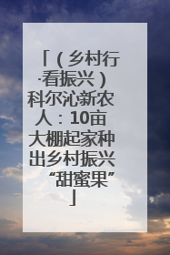 （乡村行·看振兴）科尔沁新农人：10亩大棚起家种出乡村振兴“甜蜜果”