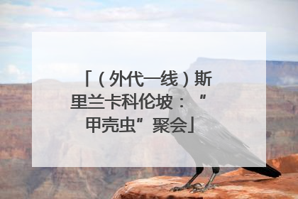 （外代一线）斯里兰卡科伦坡：“甲壳虫”聚会