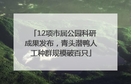 12项市属公园科研成果发布，青头潜鸭人工种群规模破百只