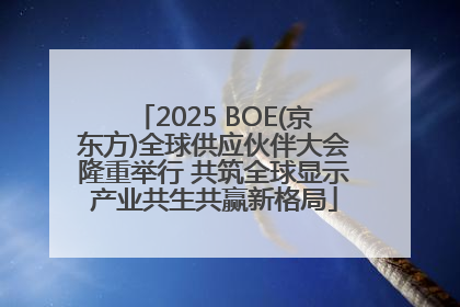 2025 BOE(京东方)全球供应伙伴大会隆重举行 共筑全球显示产业共生共赢新格局