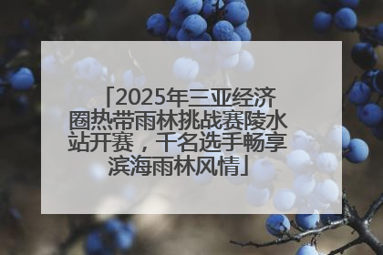 2025年三亚经济圈热带雨林挑战赛陵水站开赛，千名选手畅享滨海雨林风情