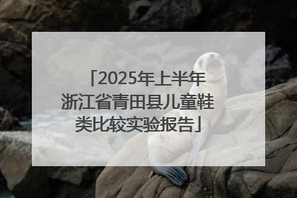 2025年上半年浙江省青田县儿童鞋类比较实验报告