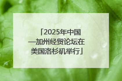 2025年中国—加州经贸论坛在美国洛杉矶举行