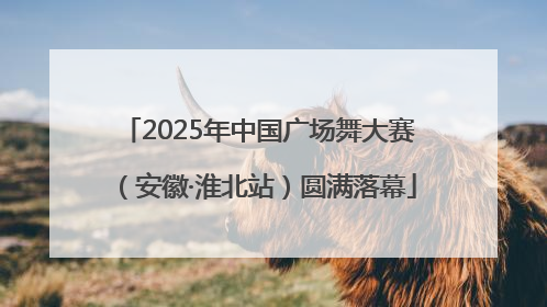 2025年中国广场舞大赛（安徽·淮北站）圆满落幕
