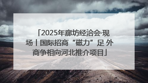 2025年廊坊经洽会·现场丨国际招商“磁力”足 外商争相向河北推介项目