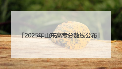 2025年山东高考分数线公布