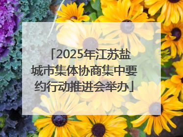 2025年江苏盐城市集体协商集中要约行动推进会举办