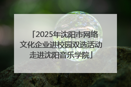 2025年沈阳市网络文化企业进校园双选活动走进沈阳音乐学院