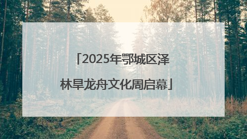 2025年鄂城区泽林旱龙舟文化周启幕
