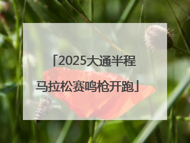 2025大通半程马拉松赛鸣枪开跑