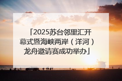 2025苏台邻里汇开幕式暨海峡两岸（洋河）龙舟邀请赛成功举办