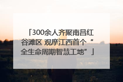 300余人齐聚南昌红谷滩区 观摩江西首个“全生命周期智慧工地”