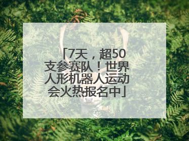 7天，超50支参赛队！世界人形机器人运动会火热报名中
