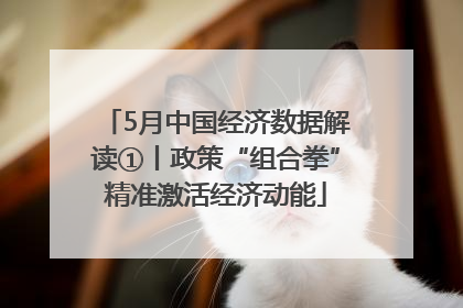 5月中国经济数据解读①丨政策“组合拳”精准激活经济动能