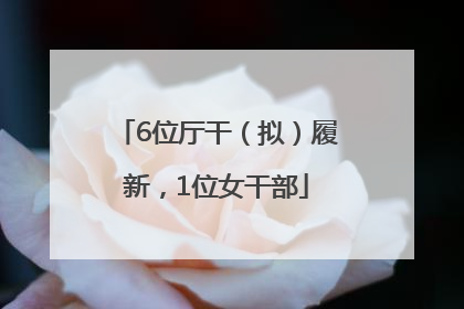 6位厅干（拟）履新，1位女干部