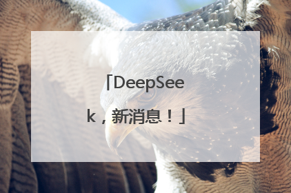 DeepSeek，新消息！